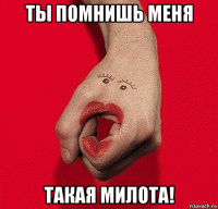 ты помнишь меня такая милота!