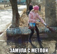  замула с метлой