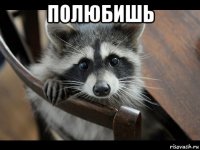 полюбишь 