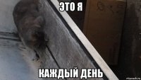 это я каждый день
