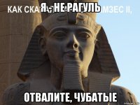 я - не рагуль отвалите, чубатые