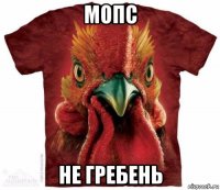 мопс не гребень