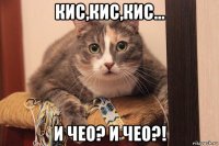 кис,кис,кис... и чео? и чео?!