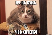 ну-ка сука, чео хотел?!