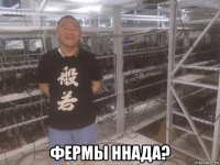  фермы ннада?