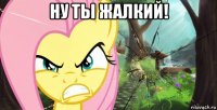 ну ты жалкий! 