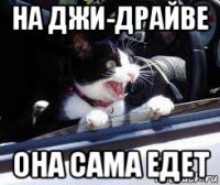 на джи-драйве она сама едет
