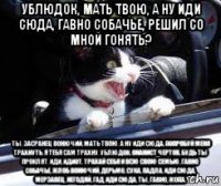 ублюдок, мать твою, а ну иди сюда, гавно собачье, решил со мной гонять? ты, засранец вонючий, мать твою, а ну иди сюда, попробуй меня трахнуть, я тебя сам трахну, ублюдок, онанист чертов, будь ты проклят, иди, идиот, трахай себя и всю свою семью, гавно собачье, жлоб вонючий, дерьмо, сука, падла, иди сюда, мерзавец, негодяй, гад, иди сюда, ты, гавно, жопа.