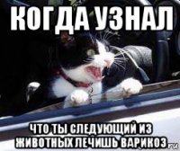 когда узнал что ты следующий из животных лечишь варикоз