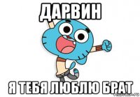 дарвин я тебя люблю брат