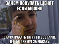 зачем покупать щенят если можно сразу трахать тигрят в зоопарке и тебя примут за макаку