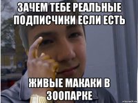 зачем тебе реальные подписчики если есть живые макаки в зоопарке