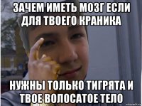 зачем иметь мозг если для твоего краника нужны только тигрята и твое волосатое тело