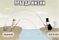 правда жизни 