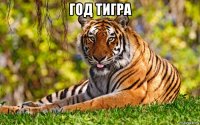 год тигра 