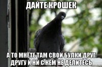 дайте крошек а то мнёте там свои булки друг другу и ни с кем не делитесь