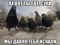 ах вот ты где, сука мы давно тебя искали