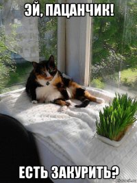 эй, пацанчик! есть закурить?