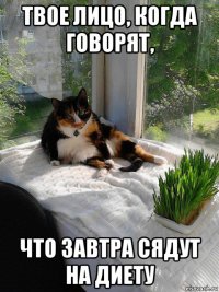 твое лицо, когда говорят, что завтра сядут на диету