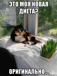 это моя новая диета? оригинально...