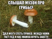 слышал музон про грибы? да,я могу спеть прииев. между нами тает лёд и нас мамка жрать завёт!!