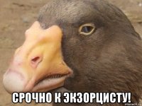  срочно к экзорцисту!