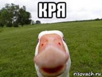 кря 