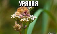 уряяяя 