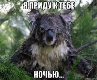 я приду к тебе ночью...