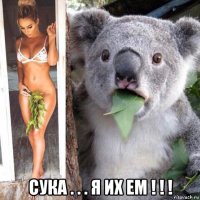  сука . . . я их ем ! ! !