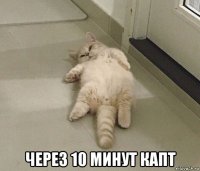  через 10 минут капт