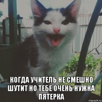  когда учитель не смешно шутит но тебе очень нужна пятерка