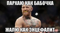 пархаю как бабочка жалю как энцефалит
