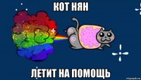 кот нян летит на помощь
