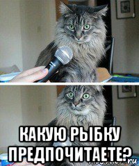  какую рыбку предпочитаете?