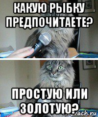 какую рыбку предпочитаете? простую или золотую?