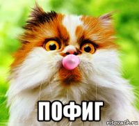  пофиг