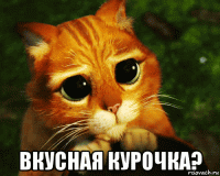  вкусная курочка?