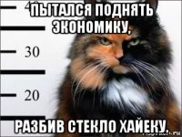 пытался поднять экономику, разбив стекло хайеку.