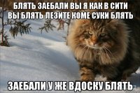 блять заебали вы я как в сити вы блять лезите коме суки блять заебали у же вдоску блять