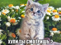  хули ты смотришь ?