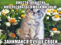 вместо того чтоб интересоваться моей жизнью, занимайся лучше своей
