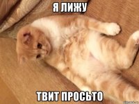 я лижу твит просьто