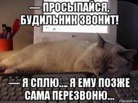 — просыпайся, будильник звонит! — я сплю…. я ему позже сама перезвоню…