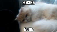 жизнь боль