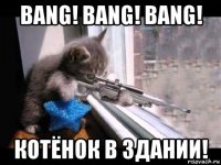 bang! bang! bang! котёнок в здании!