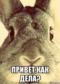 привет,как дела?