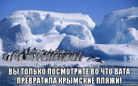  вы только посмотрите во что вата превратила крымские пляжи!