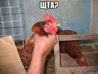 щта? 
