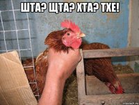 шта? щта? хта? тхе! 